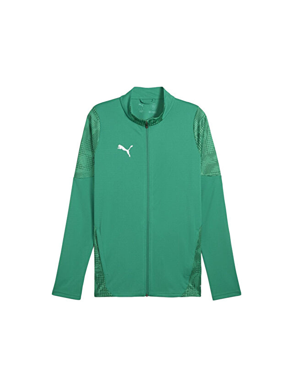 Teamcup Training Jacket Erkek Futbol Antrenman Ceketi 65916505 Yeşil