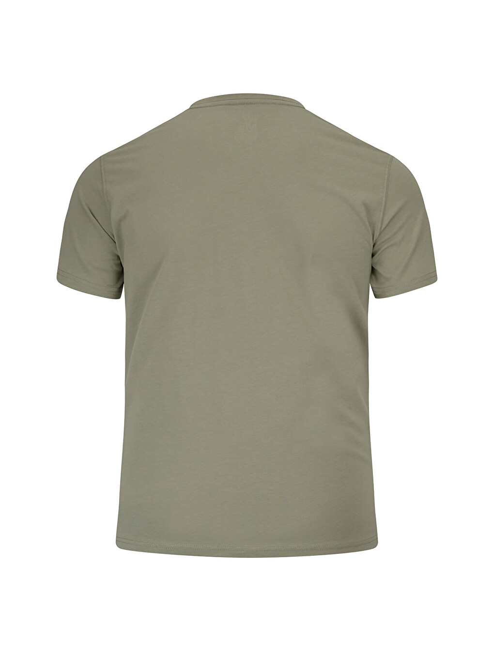 Yeşil Regular Fit Bisiklet Yaka 100 Pamuk Tişört-3