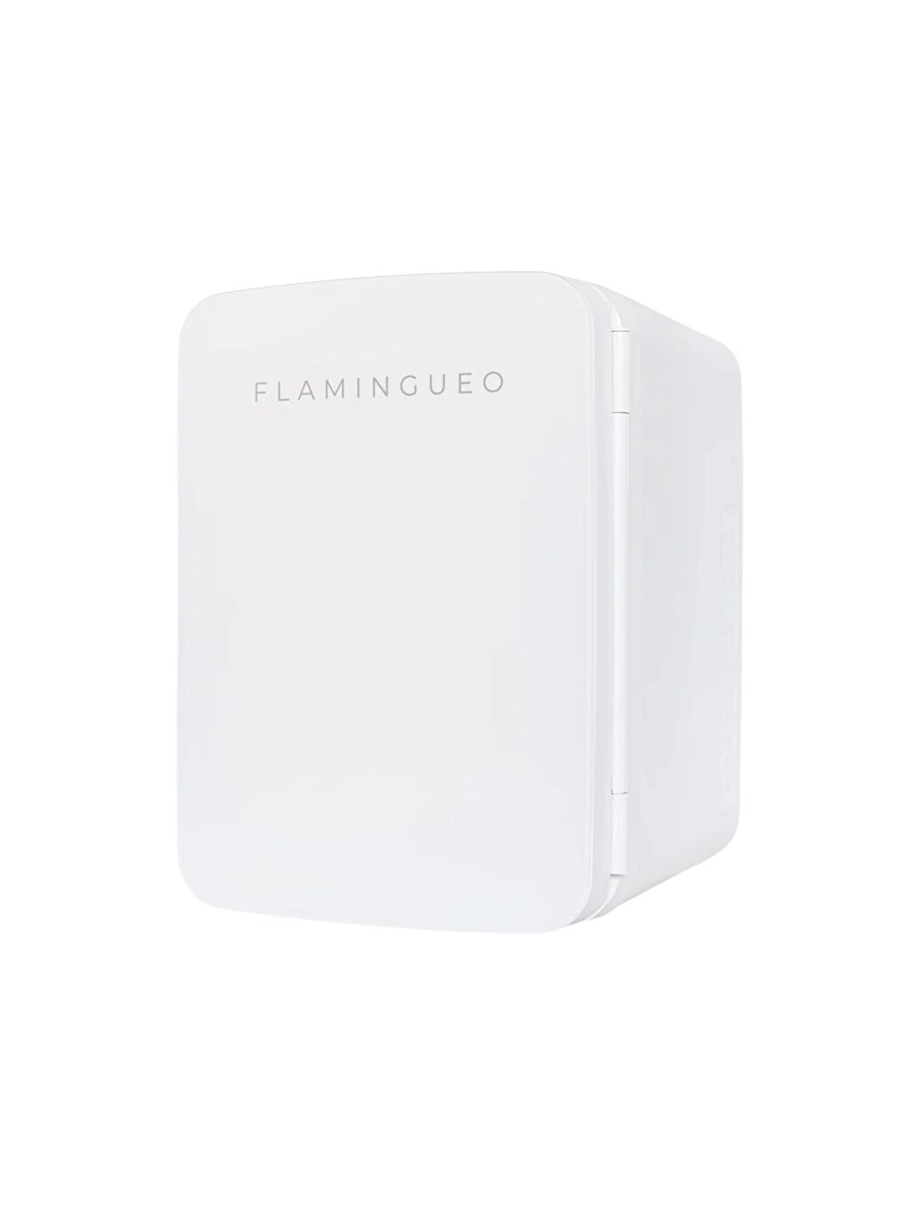 Eli Taşınabilir Kozmetik Buzdolabı 10L