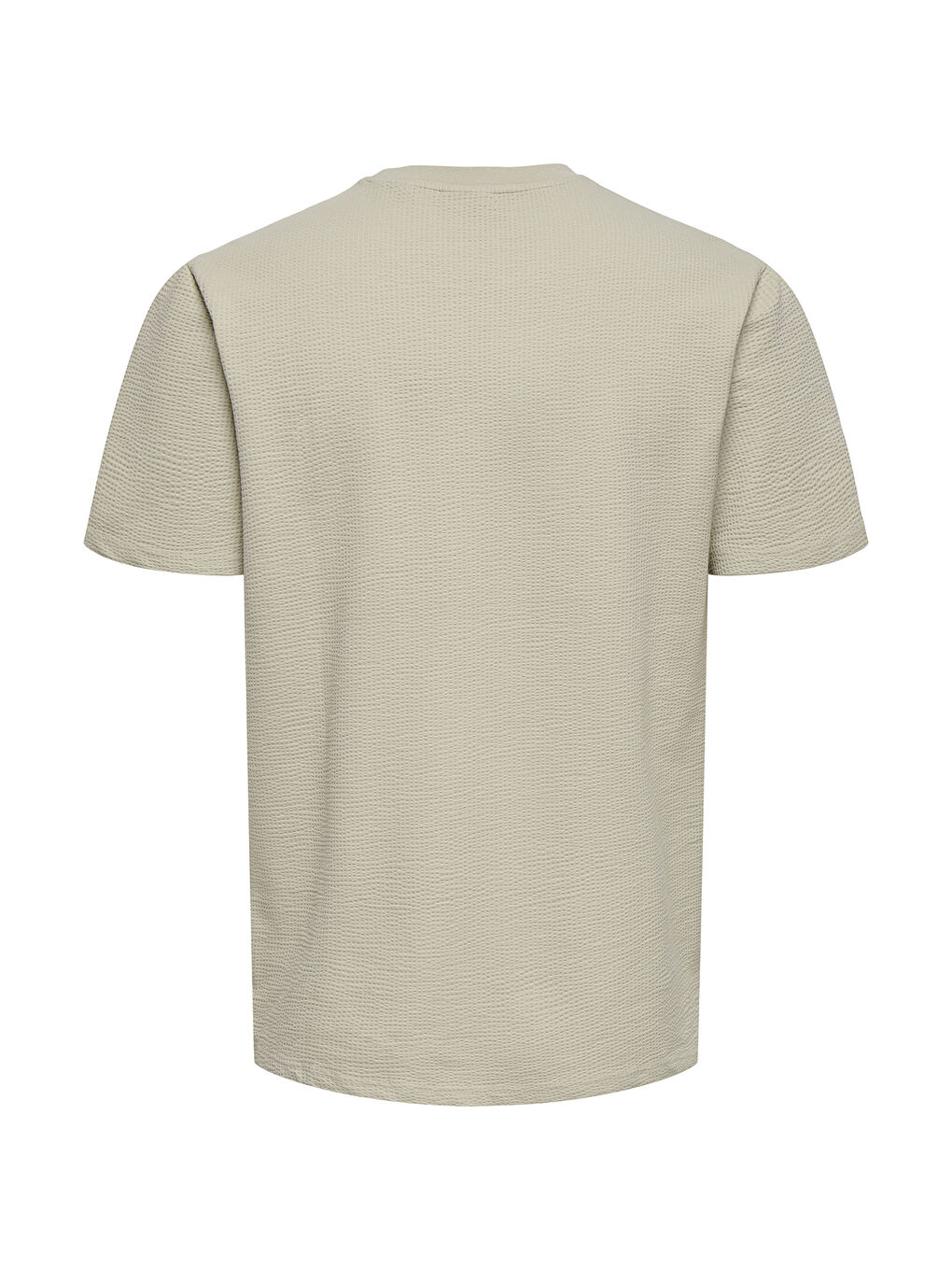 Bej Onskian Pamuklu Regular Fit Bisiklet Yaka Tişört 22028692-1