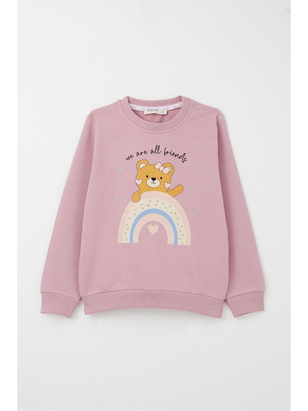 Pembe Kız Çocuk Eşofman Takım Arkadaşlık Temalı Sevimli Ayıcık Baskılı Gülkurusu (1-4 Yaş)-3