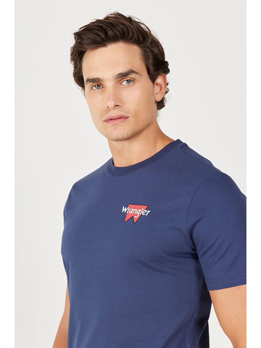 İndigo Regular Fit Normal Kesim %100 Pamuk Bisiklet Yaka Sırt Baskılı Lacivert Tişört-3