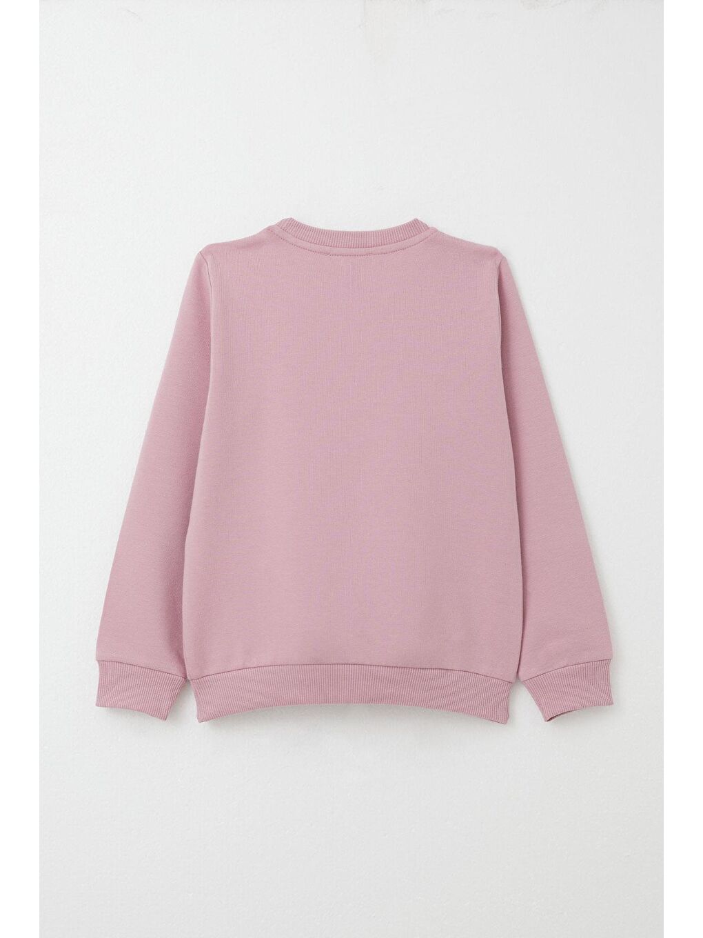 Pembe Kız Çocuk Eşofman Takım Arkadaşlık Temalı Sevimli Ayıcık Baskılı Gülkurusu (1-4 Yaş)-7