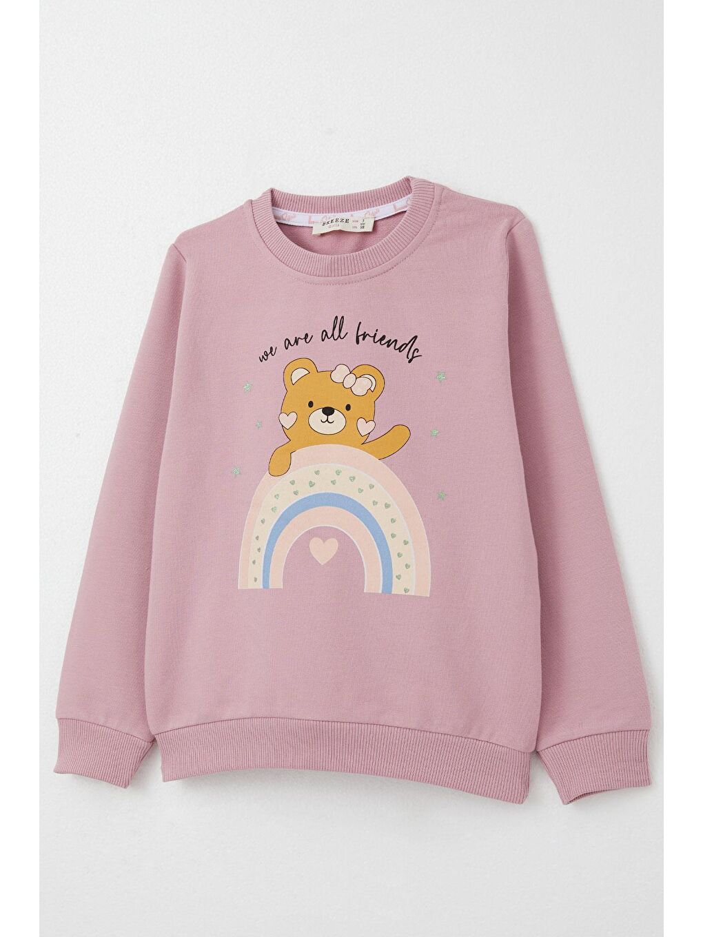 Pembe Kız Çocuk Eşofman Takım Arkadaşlık Temalı Sevimli Ayıcık Baskılı Gülkurusu (1-4 Yaş)-10