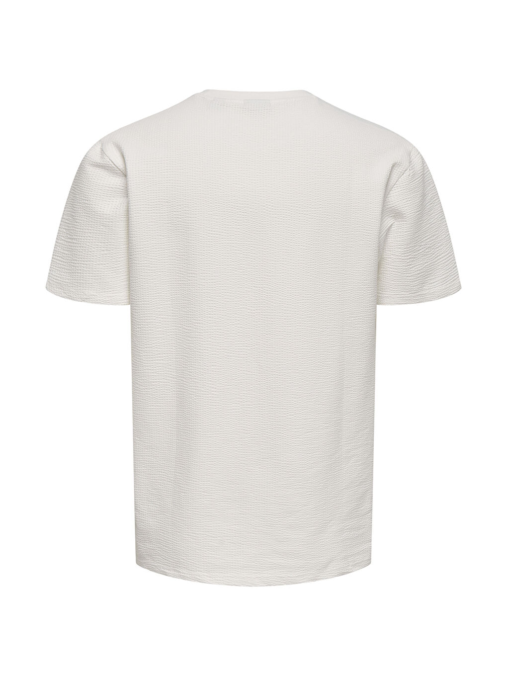 Ekru Onskian Pamuklu Regular Fit Bisiklet Yaka Tişört 22028692-1