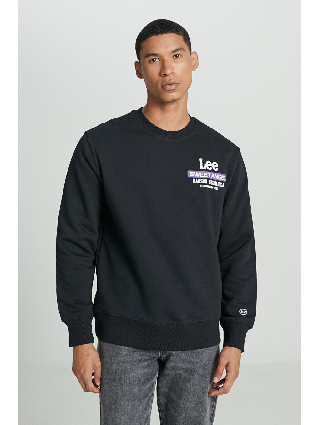 Regular Fit Bisiklet Yaka Şardonlu Siyah Sweatshirt-3