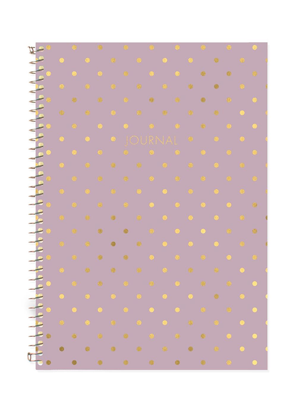 LE COLOR Lila Puantiyeli Defter Çizgili Lila 17x24 cm