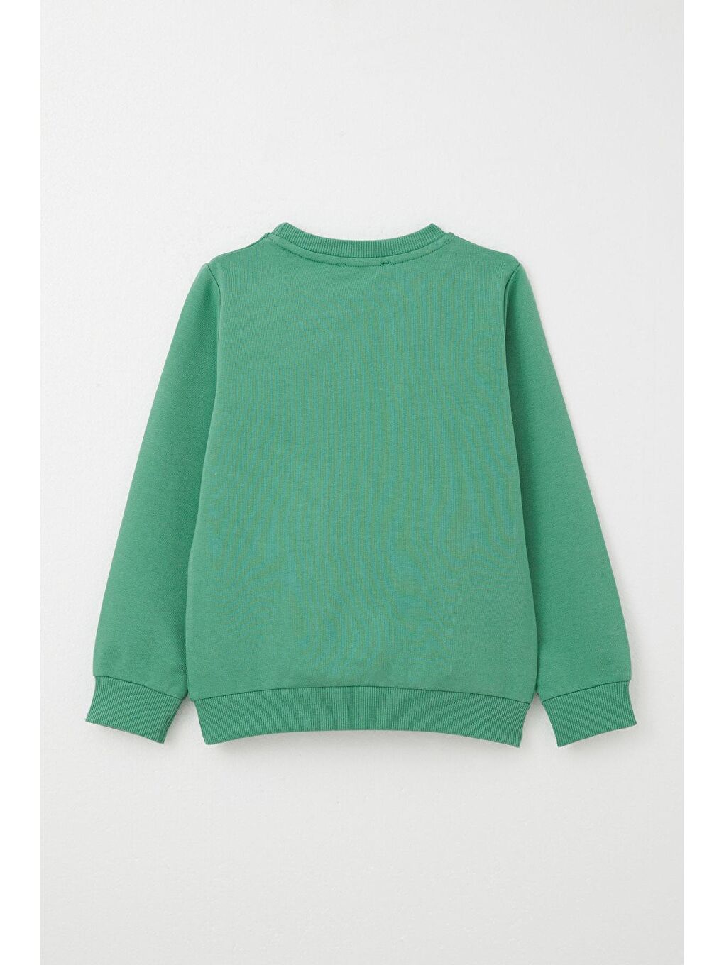 Erkek Çocuk Eşofman Takım Harika Dinozor Baskılı Mint Yeşili (1.5-5 Yaş)-3