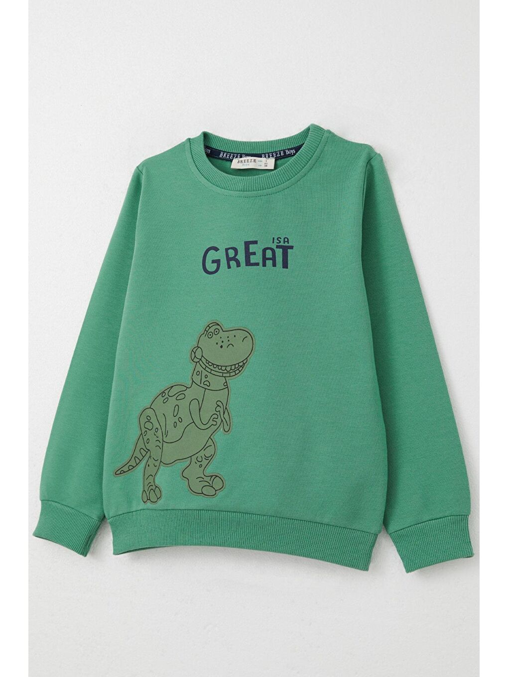 Erkek Çocuk Eşofman Takım Harika Dinozor Baskılı Mint Yeşili (1.5-5 Yaş)-5