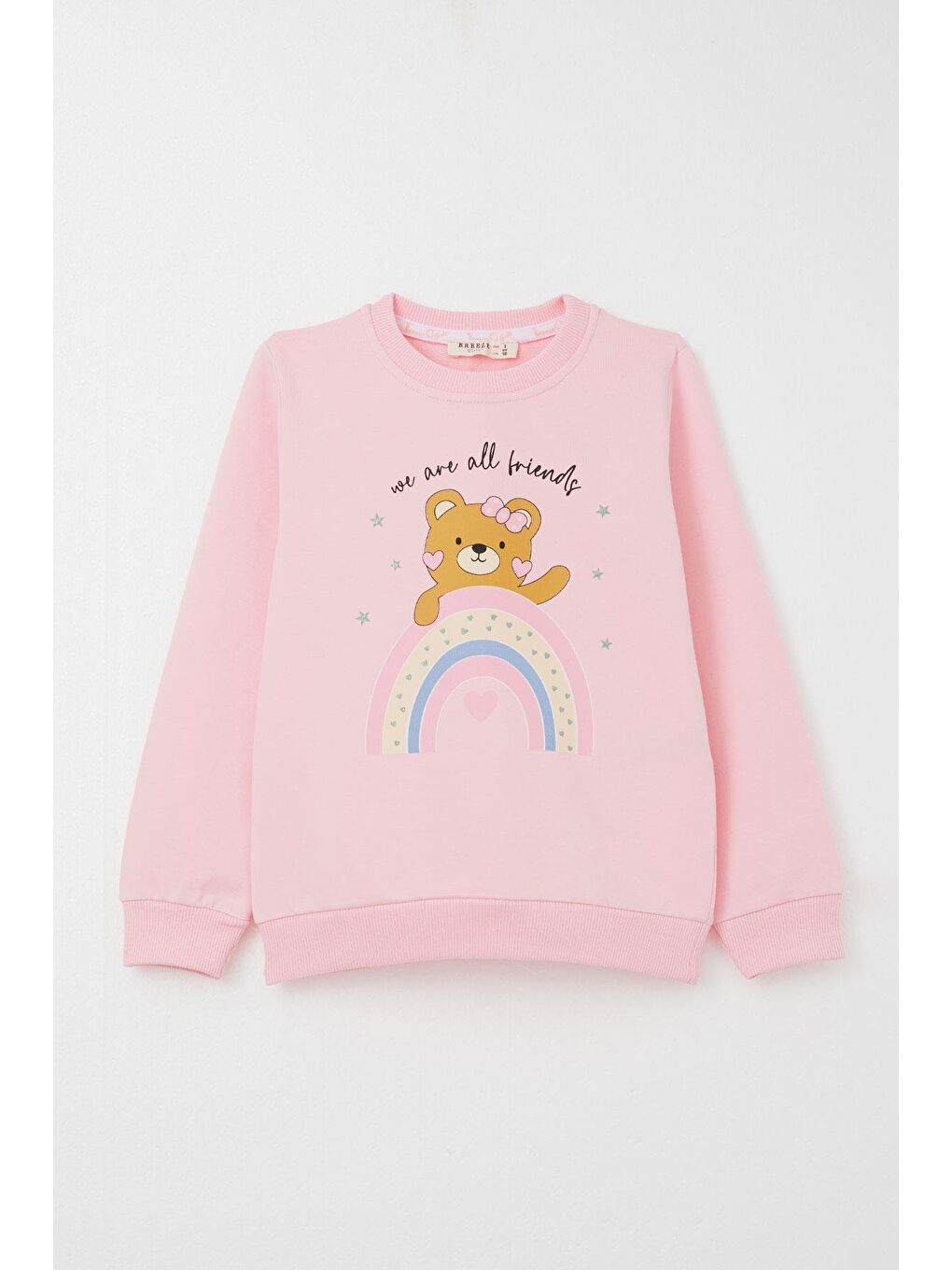 Kız Çocuk Eşofman Takım Arkadaşlık Temalı Sevimli Ayıcık Baskılı Pembe (1-3 Yaş)-1