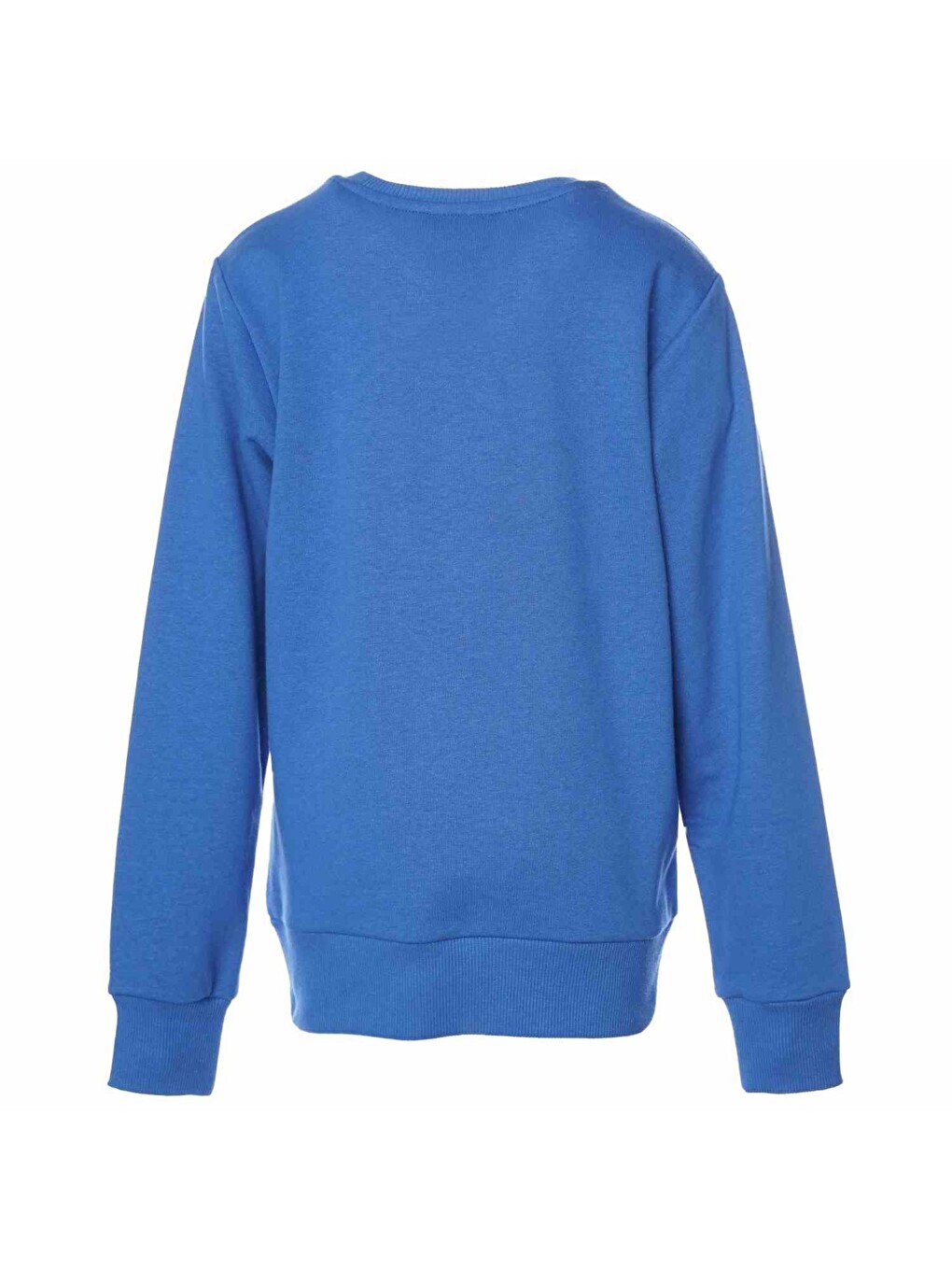 Arty Çocuk Mavi Sweatshirt-2