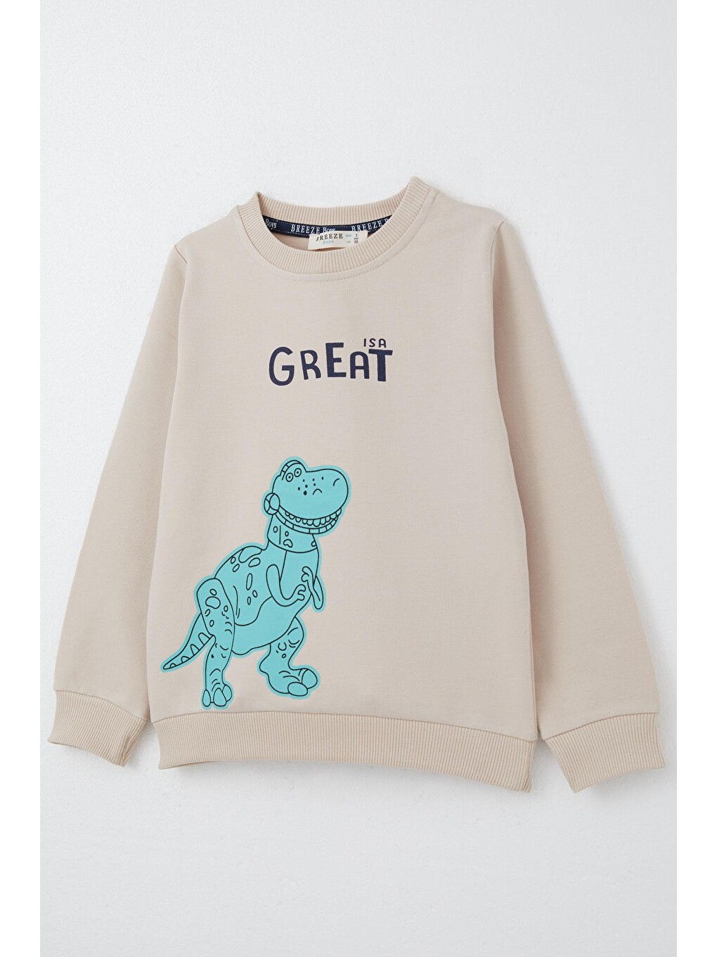 Erkek Bebek Eşofman Takım Harika Dinozor Baskılı Bej (1.5 Yaş)-5