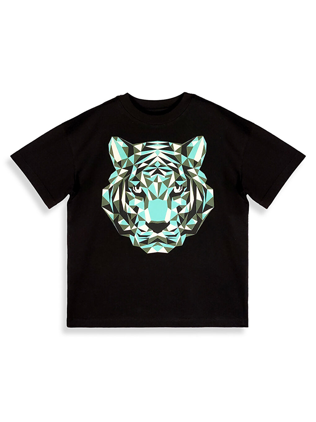 Siyah Kaplan Erkek Çocuk T-shirt Şort Takım-2