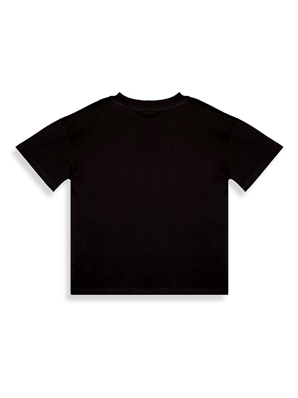 Siyah Kaplan Erkek Çocuk T-shirt Şort Takım-3