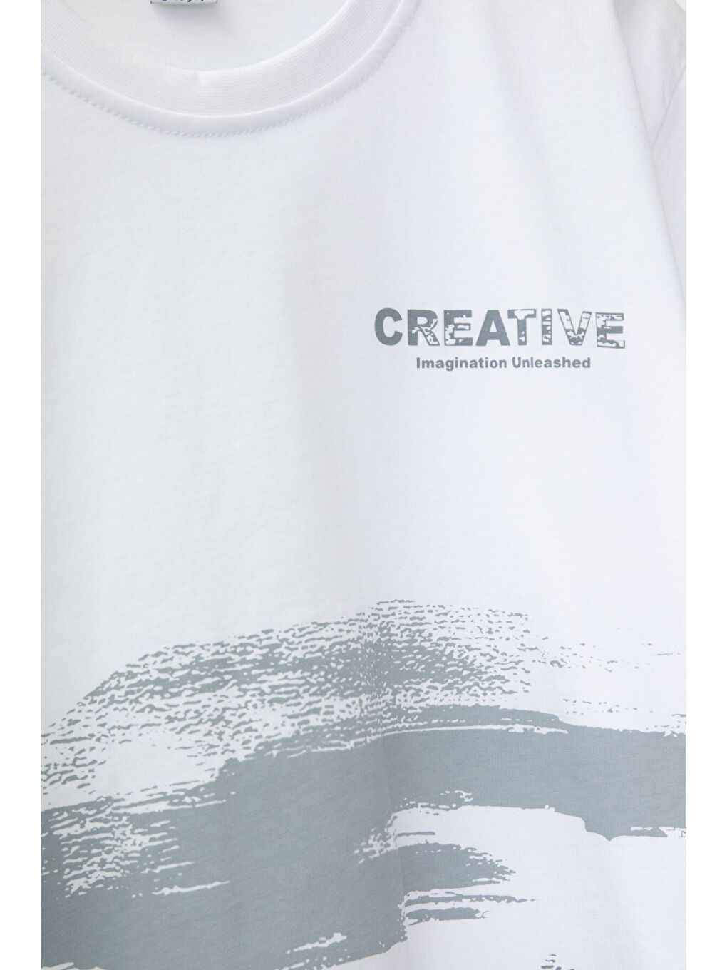 Gri Creative Yazılı Desenli Tişörtlü Erkek Çocuk Şortlu Takım 23792-3