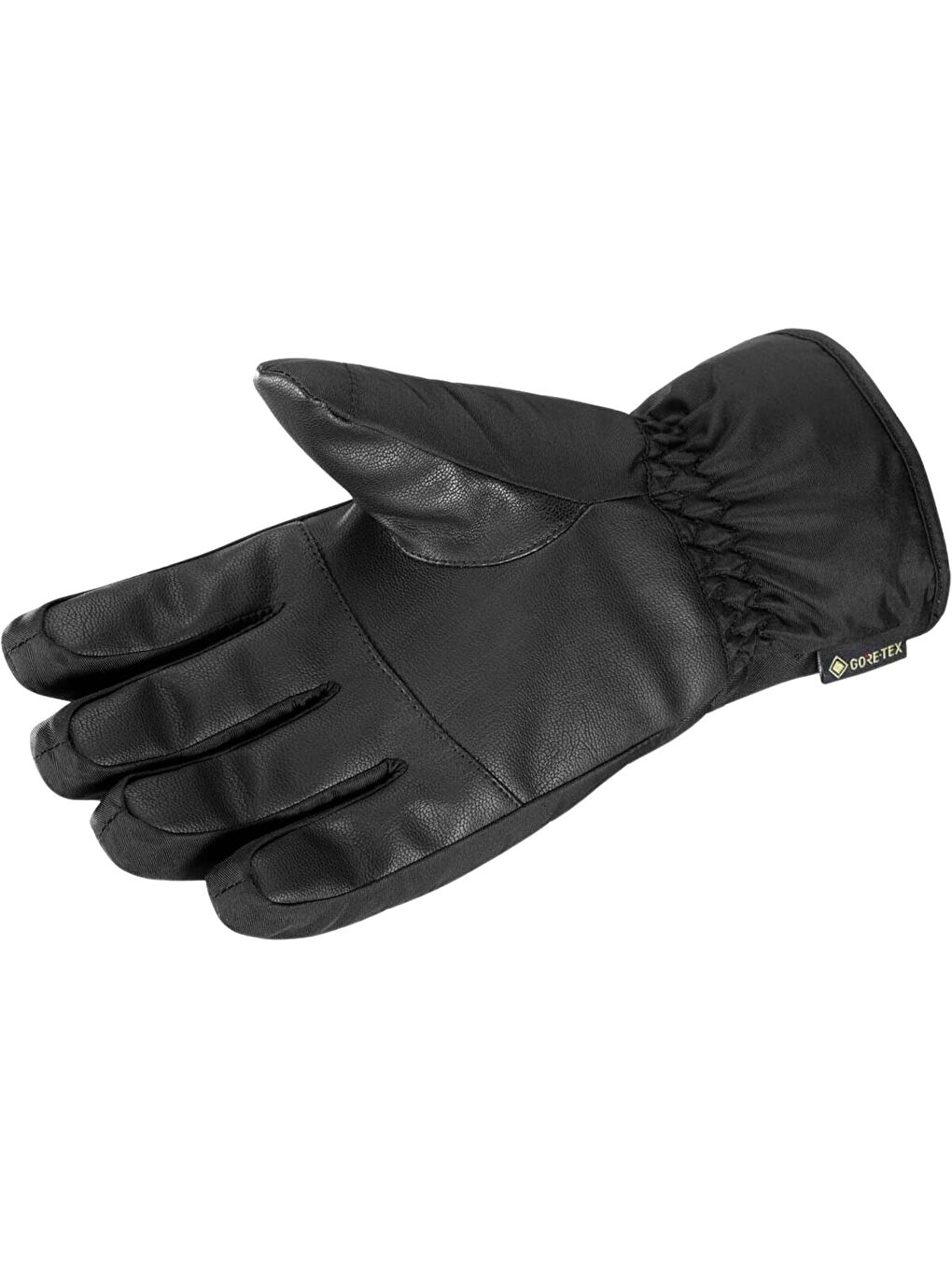 Force GORE-TEX Erkek Siyah Eldiven-1