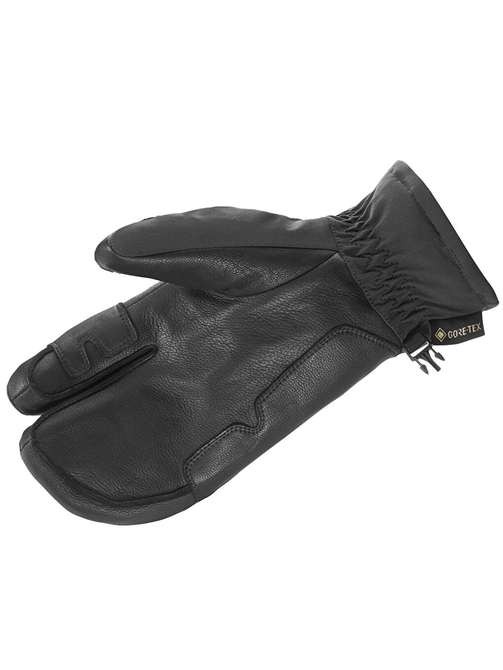 Qst Paw Gtx U Unisex Siyah Eldiven-1