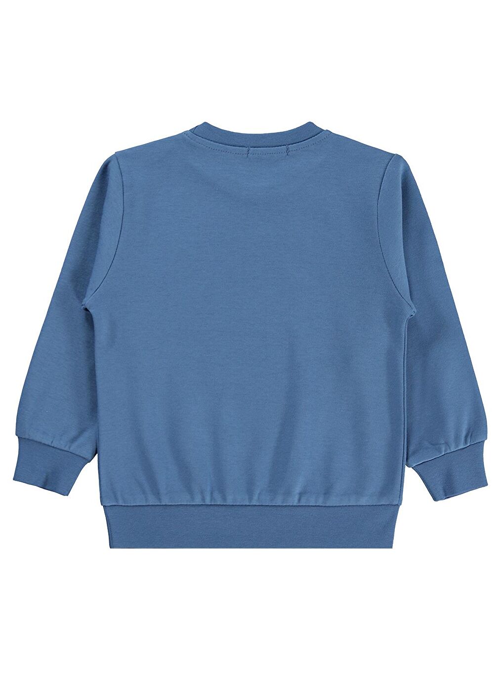 İndigo Boys Kovboy Kaktüs Baskılı 2-5 Yaş Sweatshirt - Mavi-1