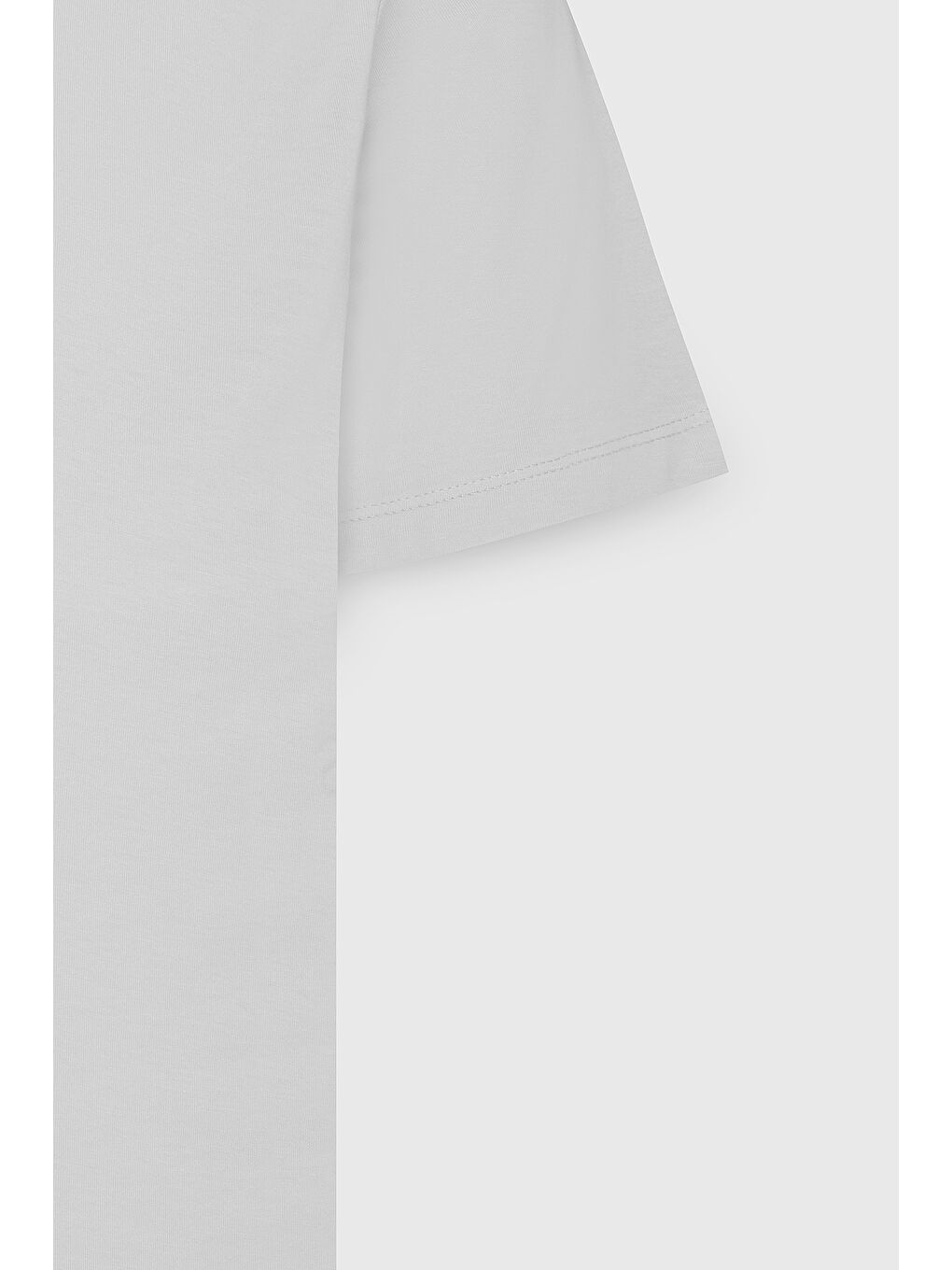 Erkek Beyaz Slim Fit Dar Kesim %100 Pamuk Bisiklet Yaka Kısa Kollu Tişört-10