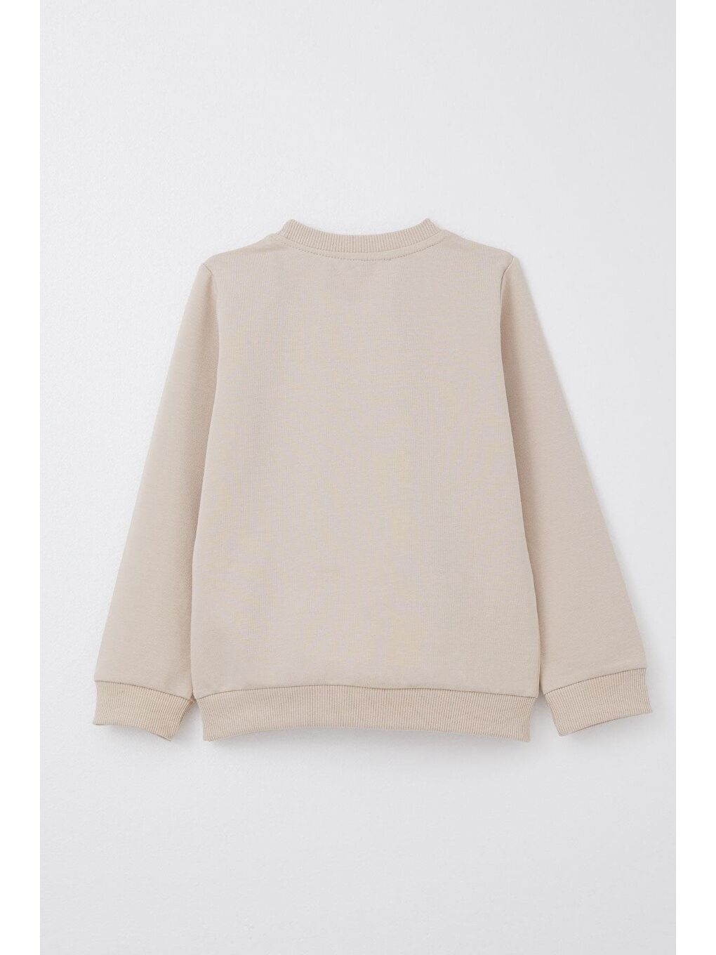 Erkek Bebek Eşofman Takım Sevimli İzci Hayvancıklar Bej (1-1.5 Yaş)-3