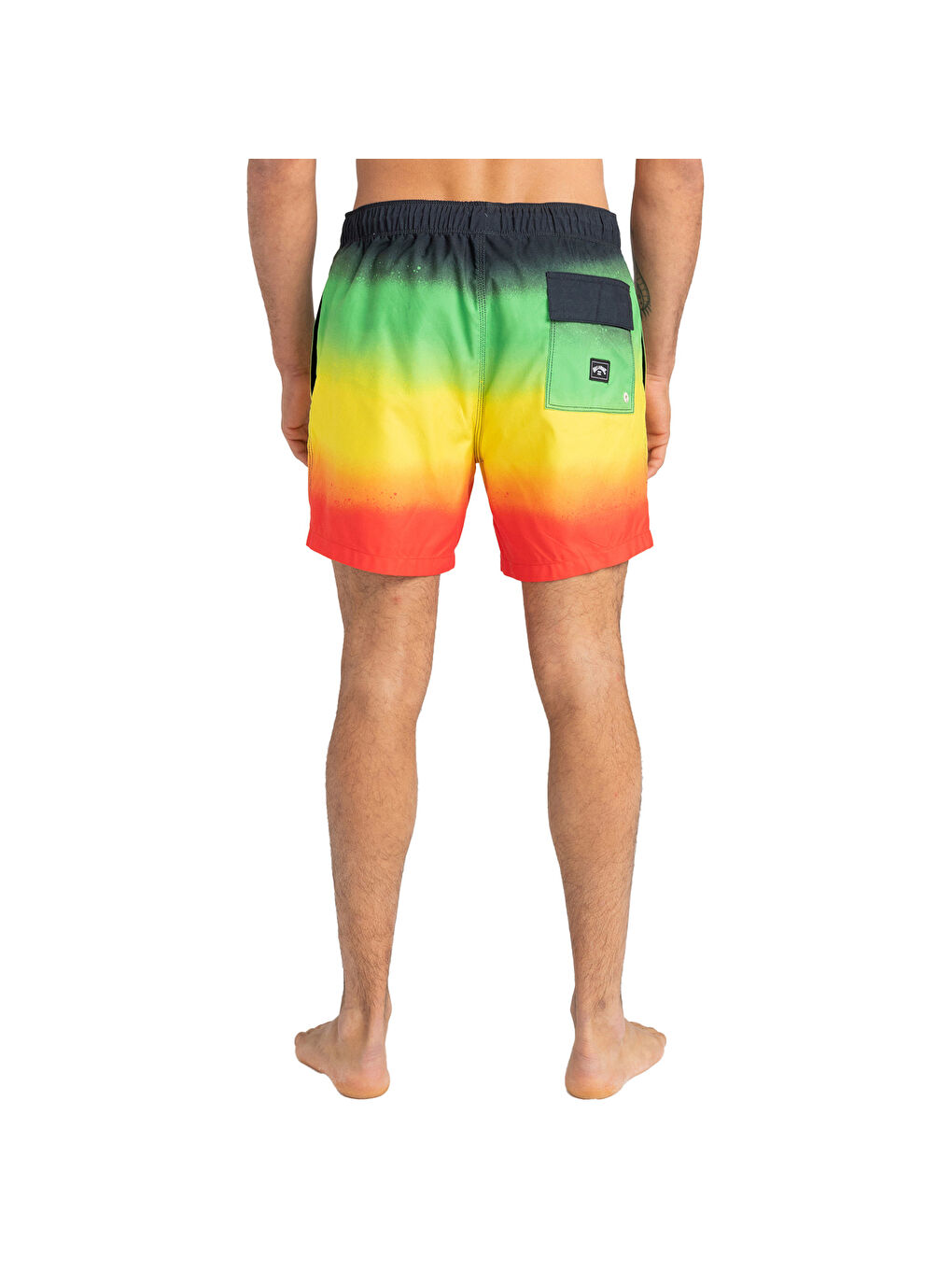 Karışık All Day Fade Lb Erkek Siyah Volley Short-3