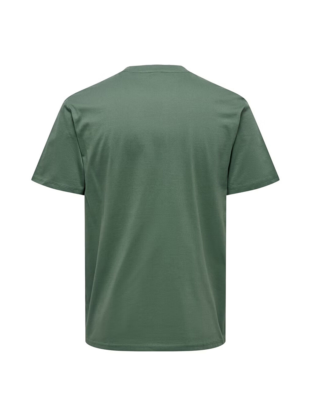 Yeşil Onsmax % 100 Pamuk Regular Fit Bisiklet Yaka T Shirt 22025208-4