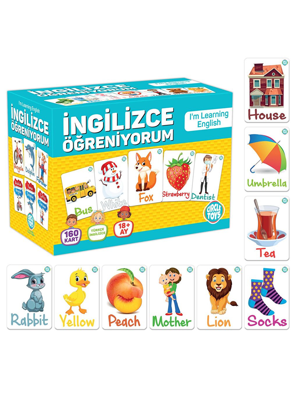 Circle Toys Karışık İngilizce Öğreniyorum - 4