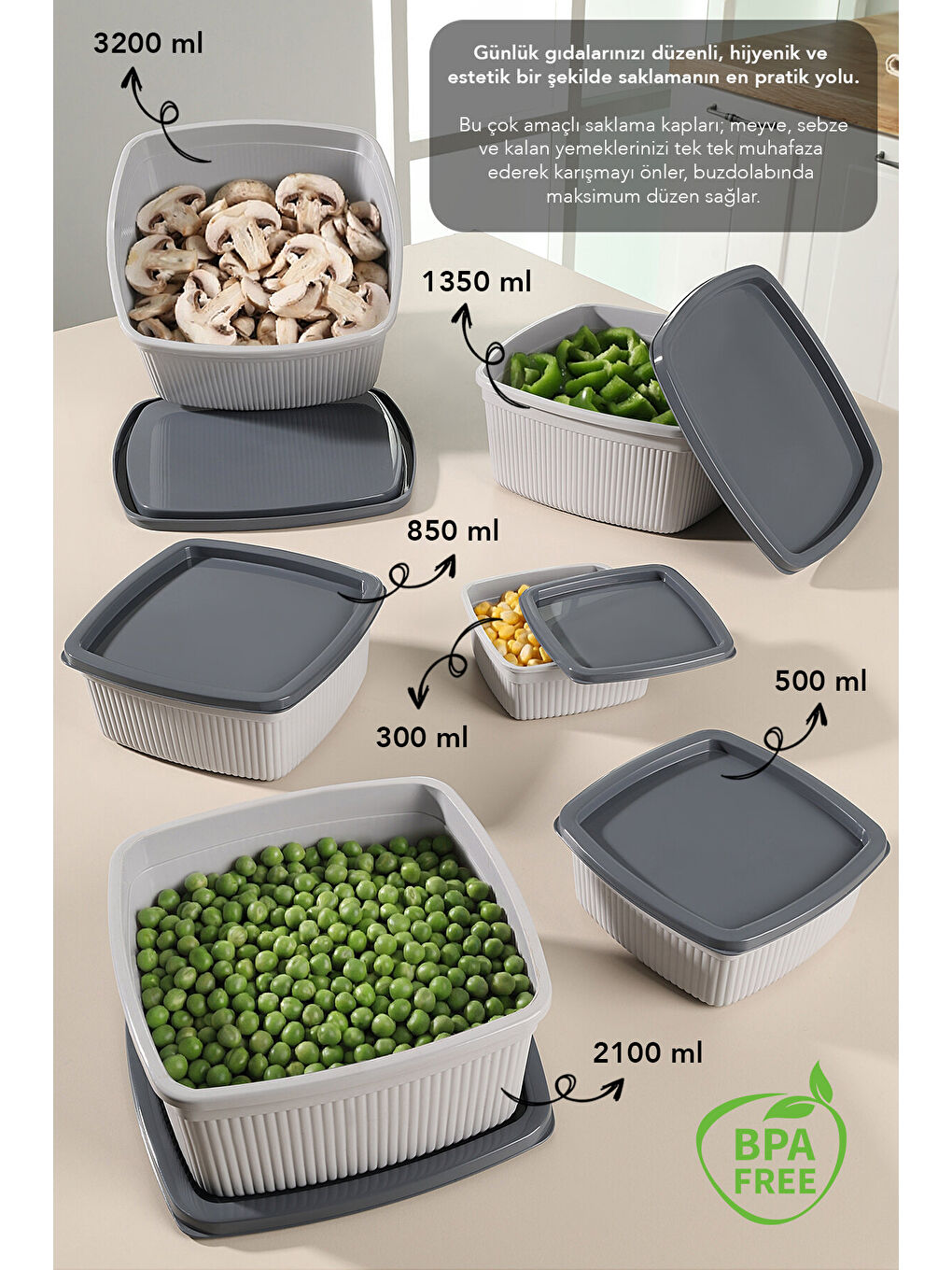 Gri 24'lü Çizgili Kare Erzak Gıda Saklama Kabı Seti-1