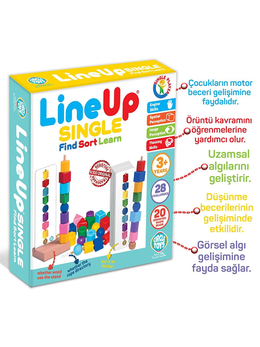 Circle Toys Karışık Line Up Single - 5