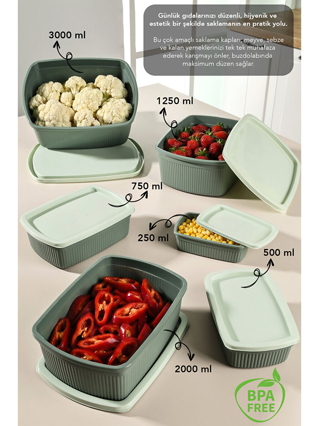 Yeşil 14'lü Çizgili Dikdörtgen Gıda Saklama Kabı Seti-1