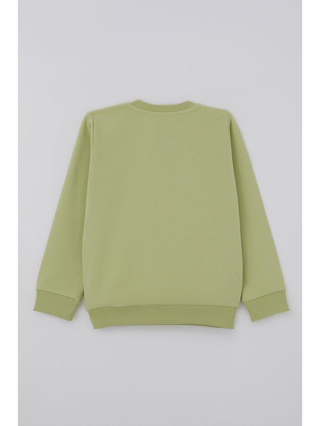 Erkek Bebek Eşofman Takımı Sevimli Ayıcık Aplikeli Kolej Model Fıstık Yeşili (9 Ay-3 Yaş)-3