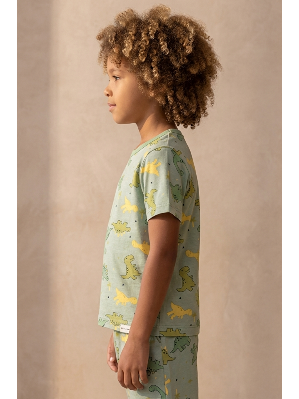 Dinozor Desenli Paketli Yeşil Erkek Çocuk Şort Takım-3
