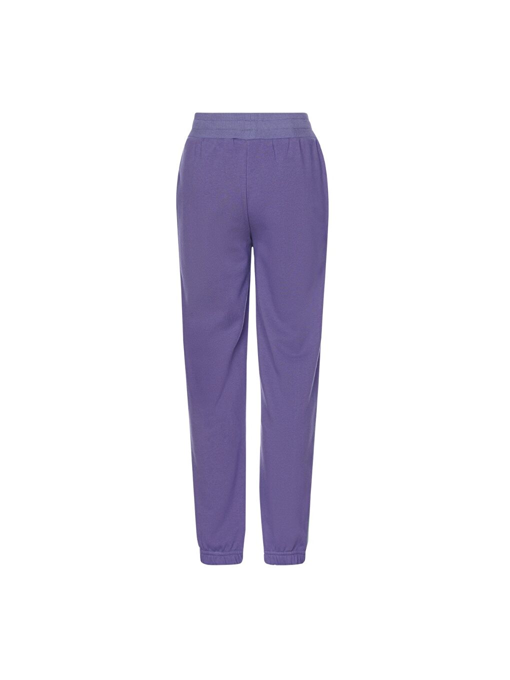 Elida Erkek Çocuk Mor Eşofman Altı-2