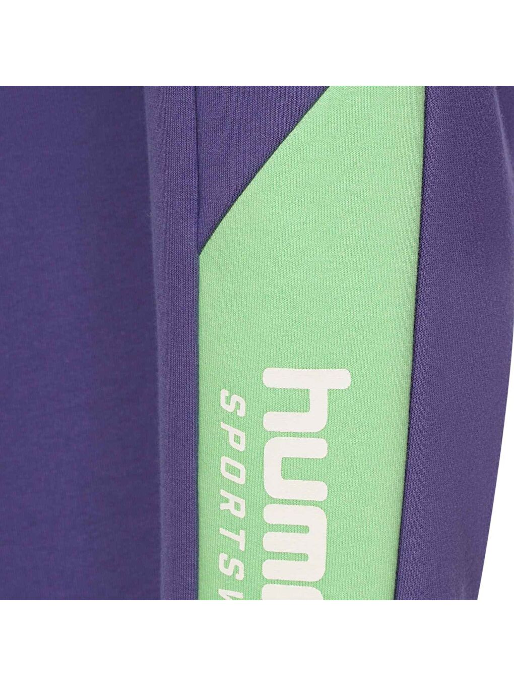 Elida Erkek Çocuk Mor Eşofman Altı-3