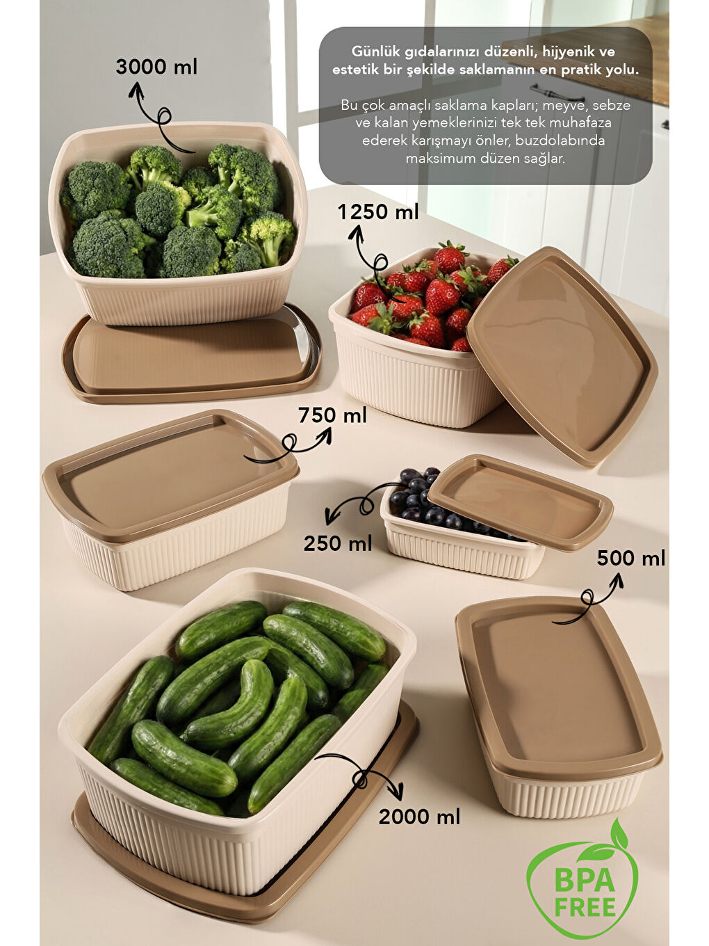 Bej 24'lü Çizgili Dikdörtgen Gıda Saklama Kabı Seti-1