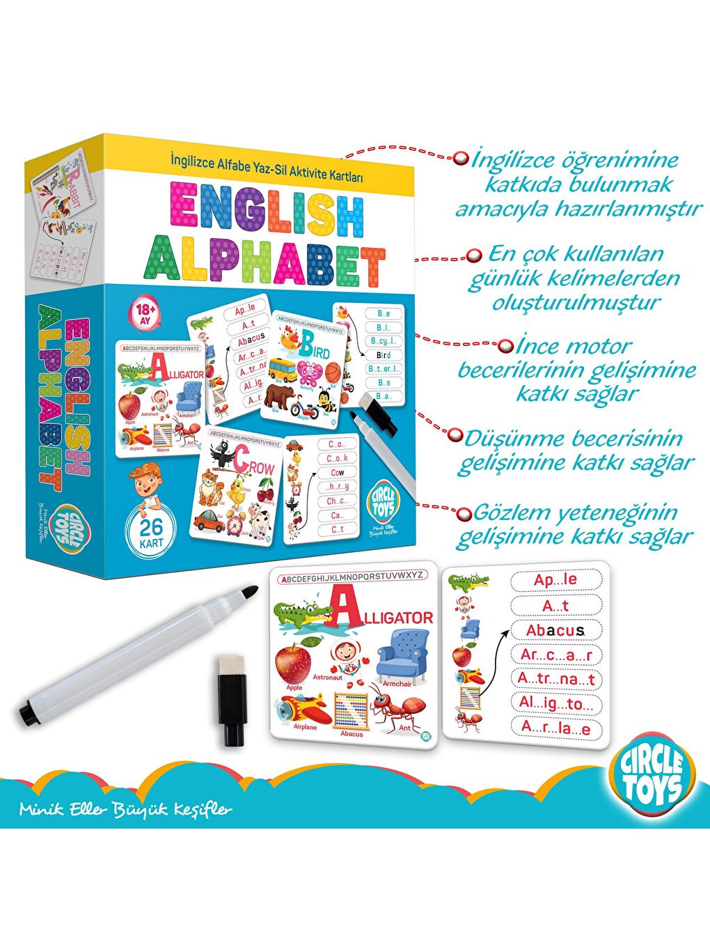 Circle Toys Karışık English Alphabet - 4