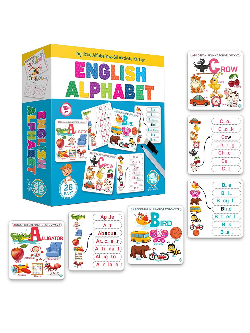 Circle Toys Karışık English Alphabet - 3