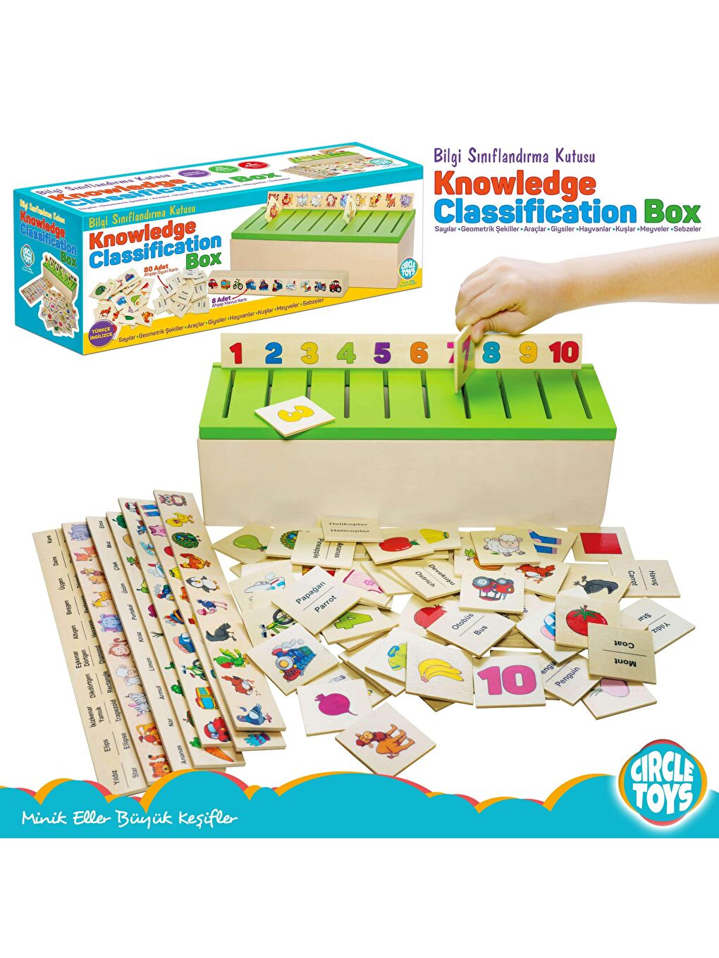 Circle Toys Karışık Ahşap Bilgi Sınıflandırma Kutusu - 3