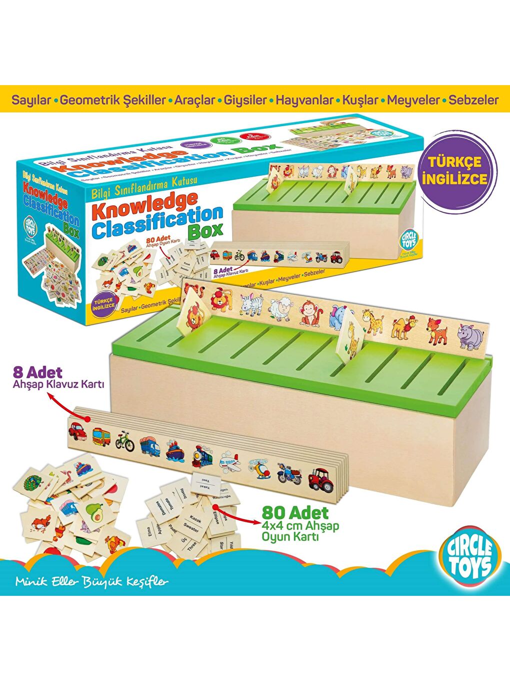 Circle Toys Karışık Ahşap Bilgi Sınıflandırma Kutusu - 5