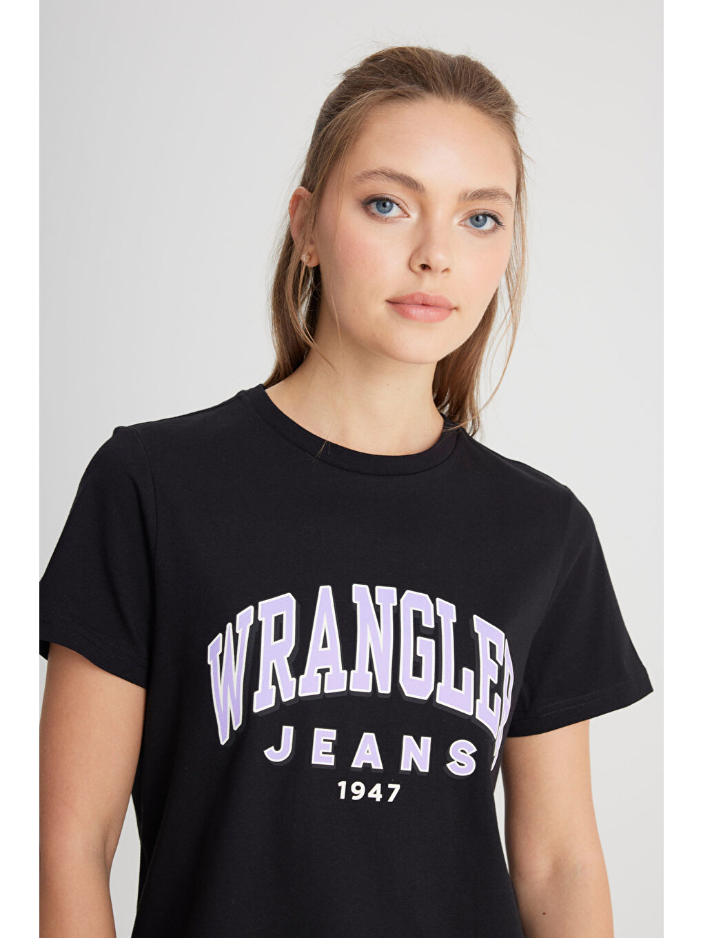 Regular Fit Normal Kesim Bisiklet Yaka %100 Pamuk Siyah Tişört-1