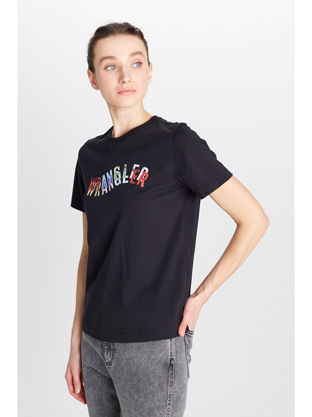 %100 Pamuk Regular Fit Normal Kesim Bisiklet Yaka Siyah Tişört-1