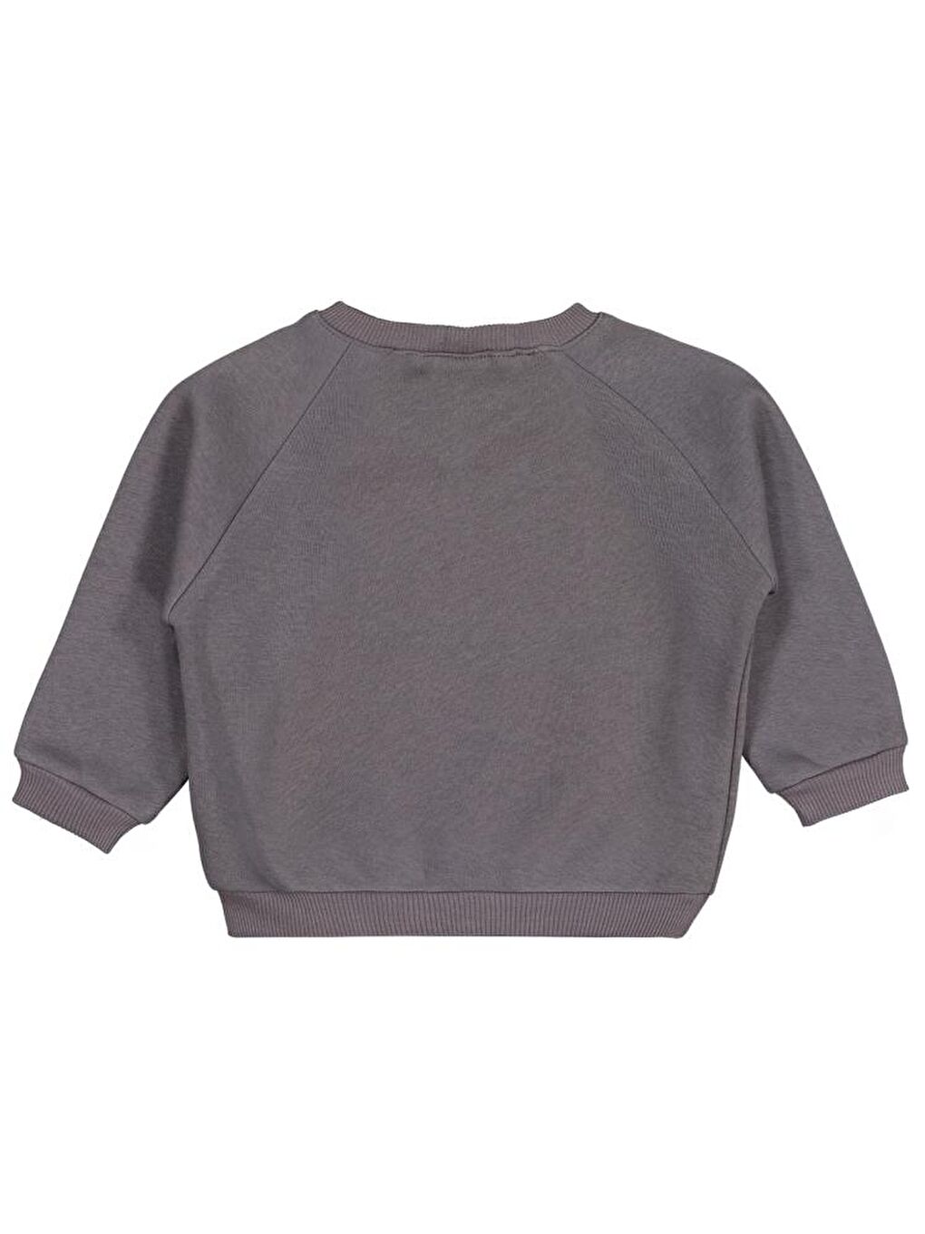 Gri Baby Keep Smiling Etiketli Basic 6-18 Ay Sweatshirt-1