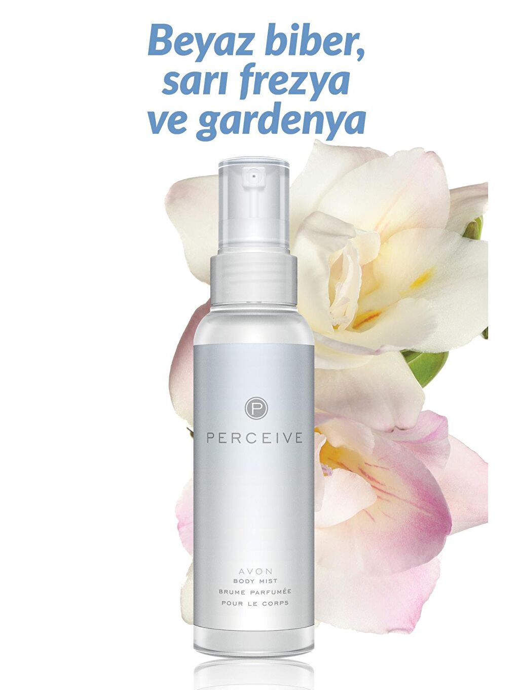 Perceive Little Black Dress Pur Blanca ve Celebre Vücut Spreyi Paketi-6