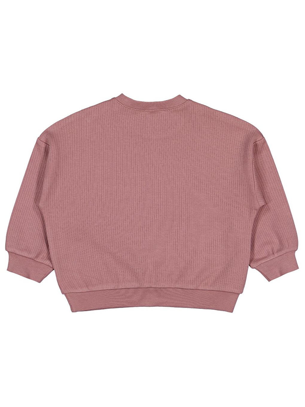 Kahverengi Baby Roarrr Dinozor Nakışlı 6-18 Ay Sweatshirt - Kahve-1