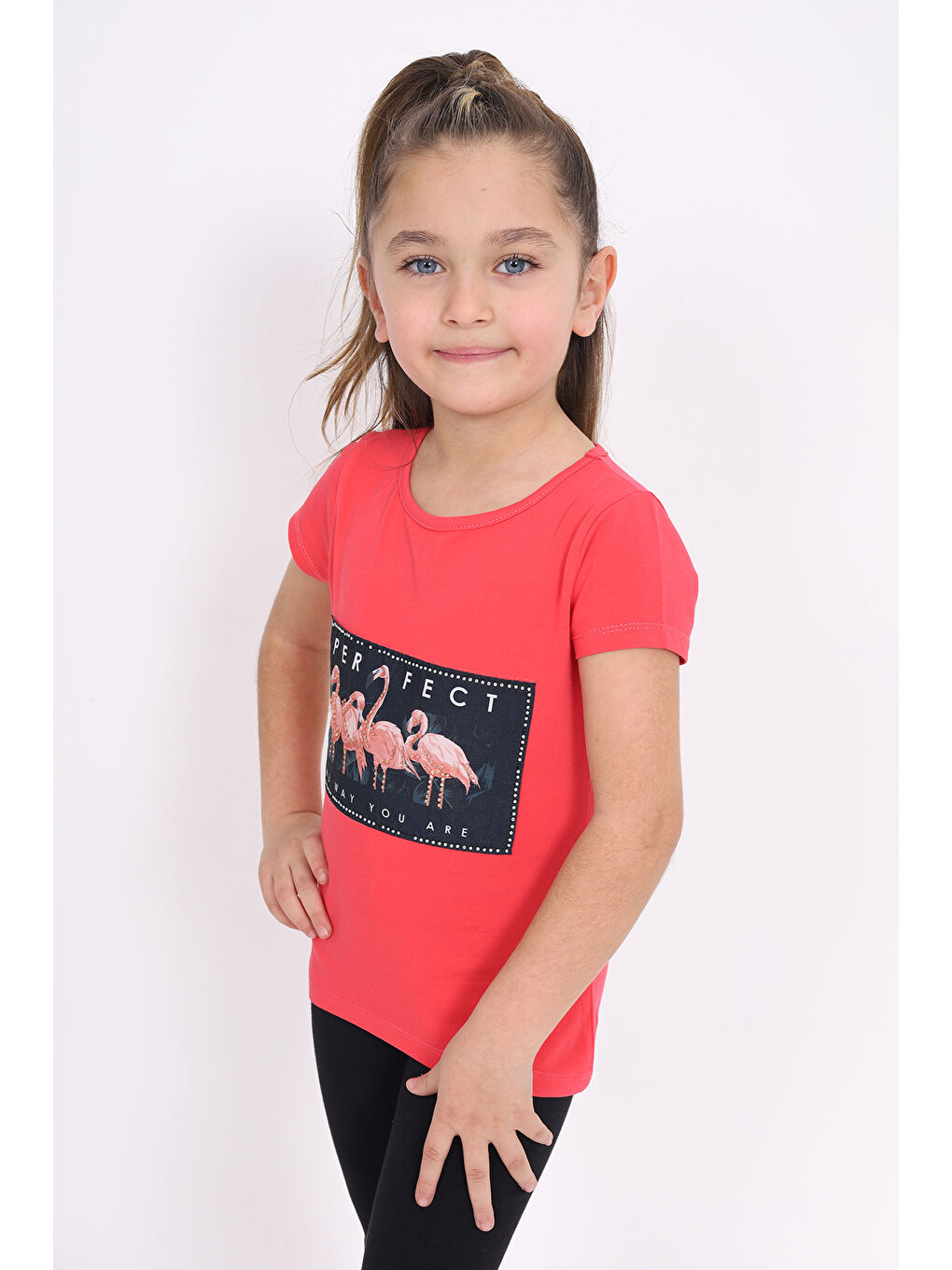 Kırmızı Kız Çocuk Flamingo Baskılı Tişört-2
