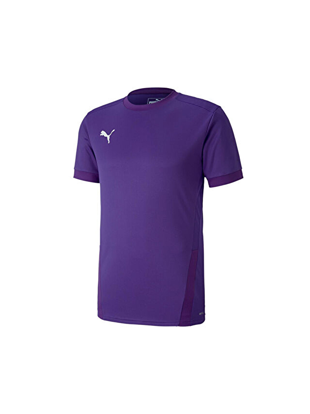 Teamgoal 23 Jersey Erkek Futbol Forması 70417110 Mor