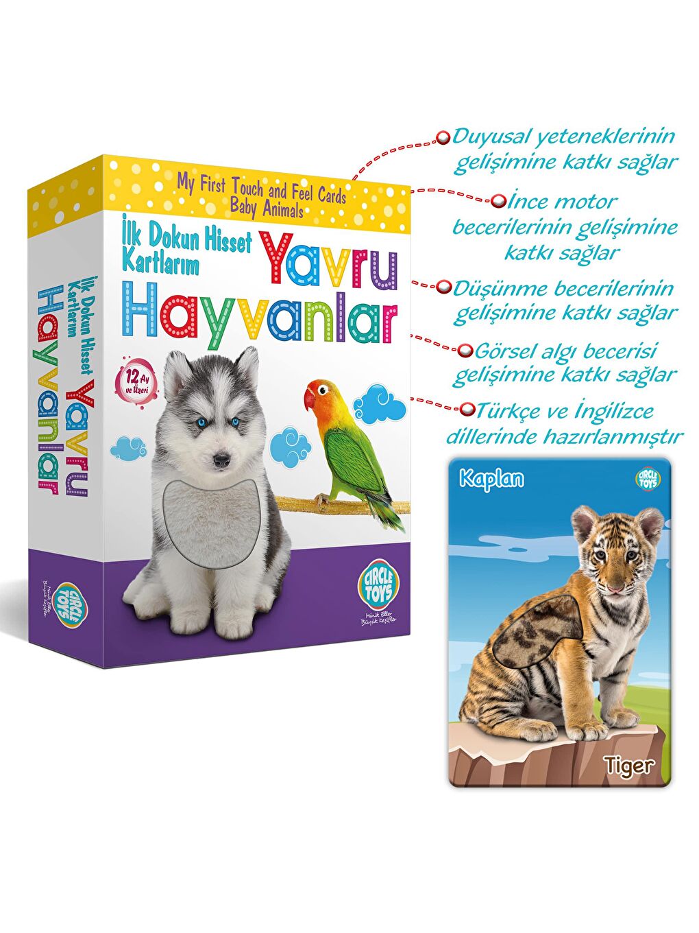 Circle Toys Karışık Dokun Hisset Yavru Hayvanlar - 4