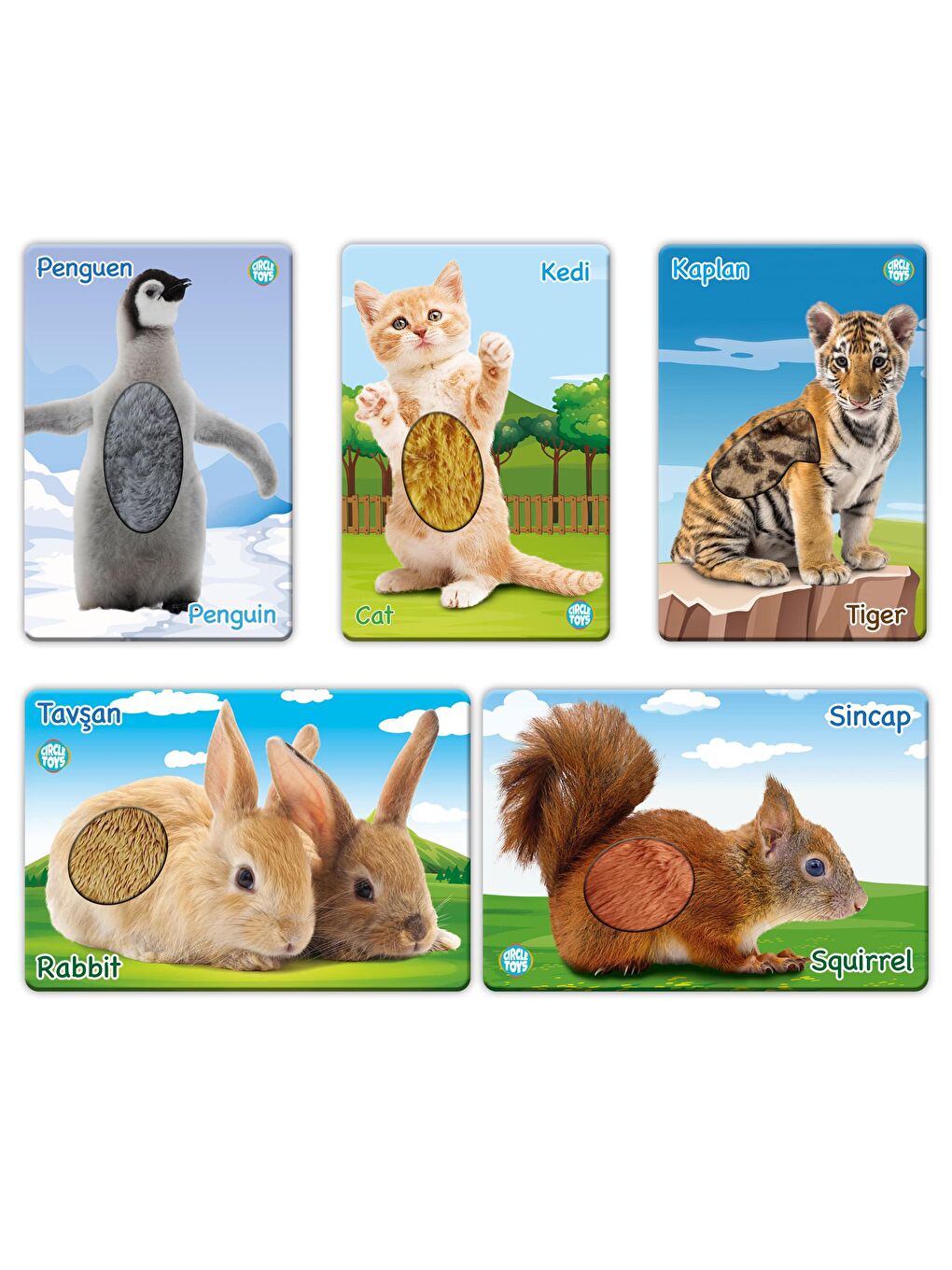 Circle Toys Karışık Dokun Hisset Yavru Hayvanlar - 2