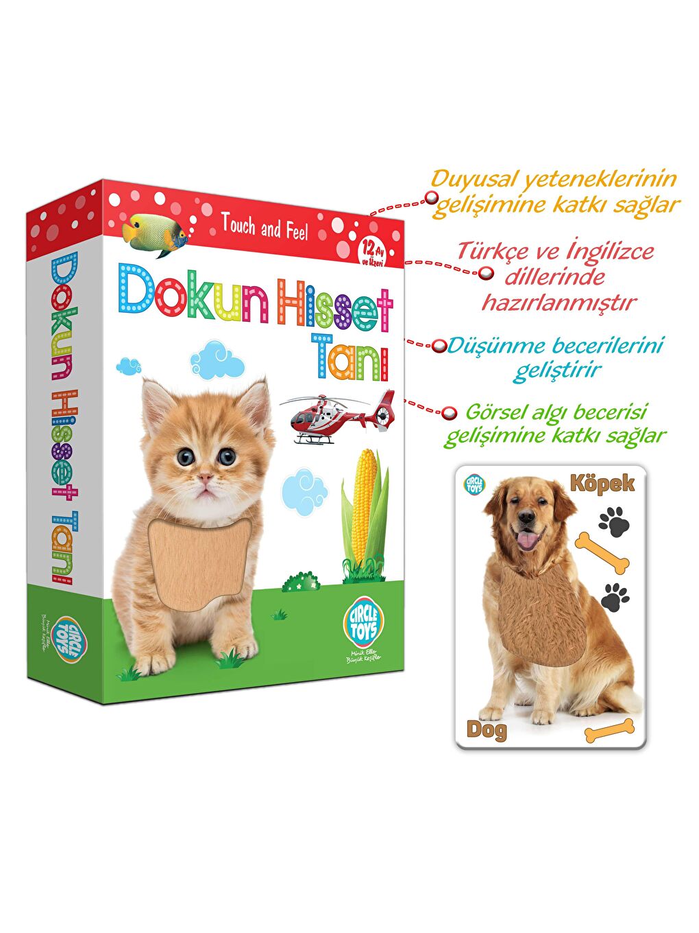 Circle Toys Karışık Dokun Hisset Tanı - 2