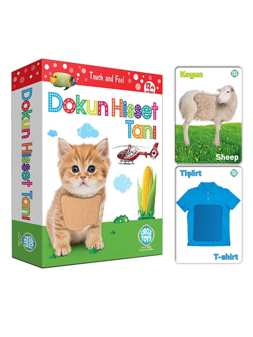 Circle Toys Karışık Dokun Hisset Tanı - 4